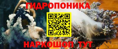 скорость Бердск