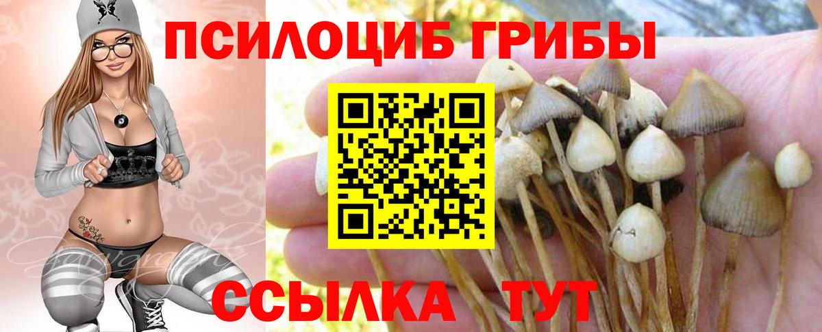 Галлюциногенные грибы Magic Shrooms  Вход с VPN  как найти закладки  Алушта 